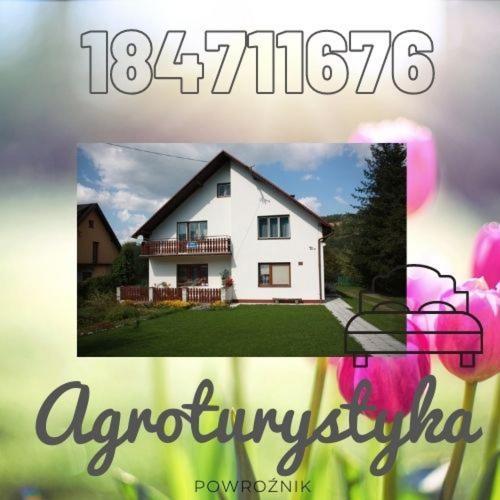 Agroturystyka Elzbieta I Juliusz 穆希纳 外观 照片
